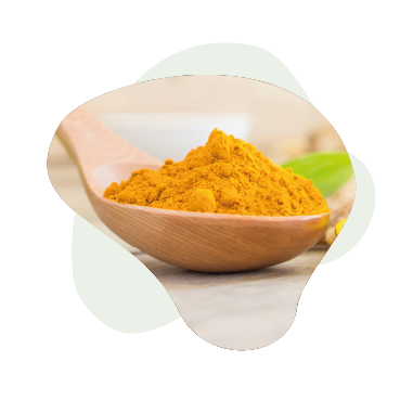 Curcuma